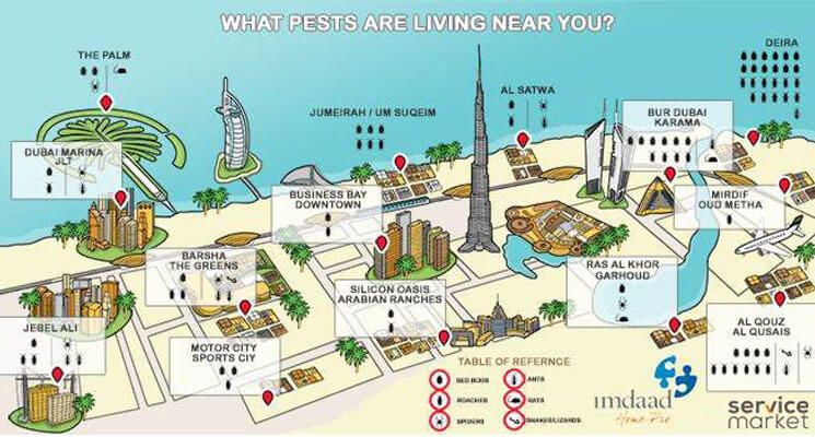Are You Living in the Most Pest-Infested Area in Dubai? Here Are Some Pest Control Trends