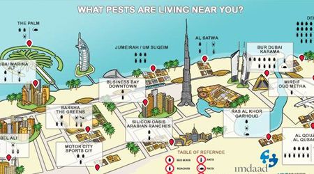Are you Living in the Most Pest-Infested Area in Dubai