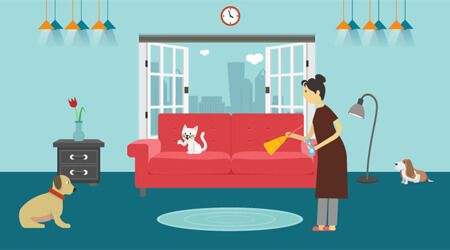 Cleaning Your Dubai Home When You Have Pets