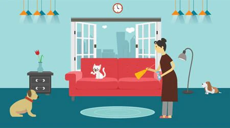 Cleaning Your Dubai Home When You Have Pets