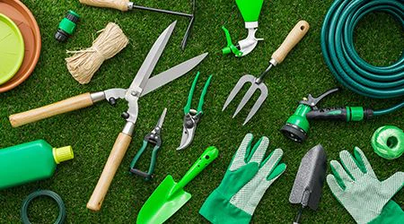 Landscaping Ideas for Your Dubai Garden