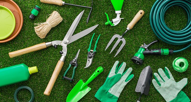 5 Landscaping Ideas for Your Dubai Garden