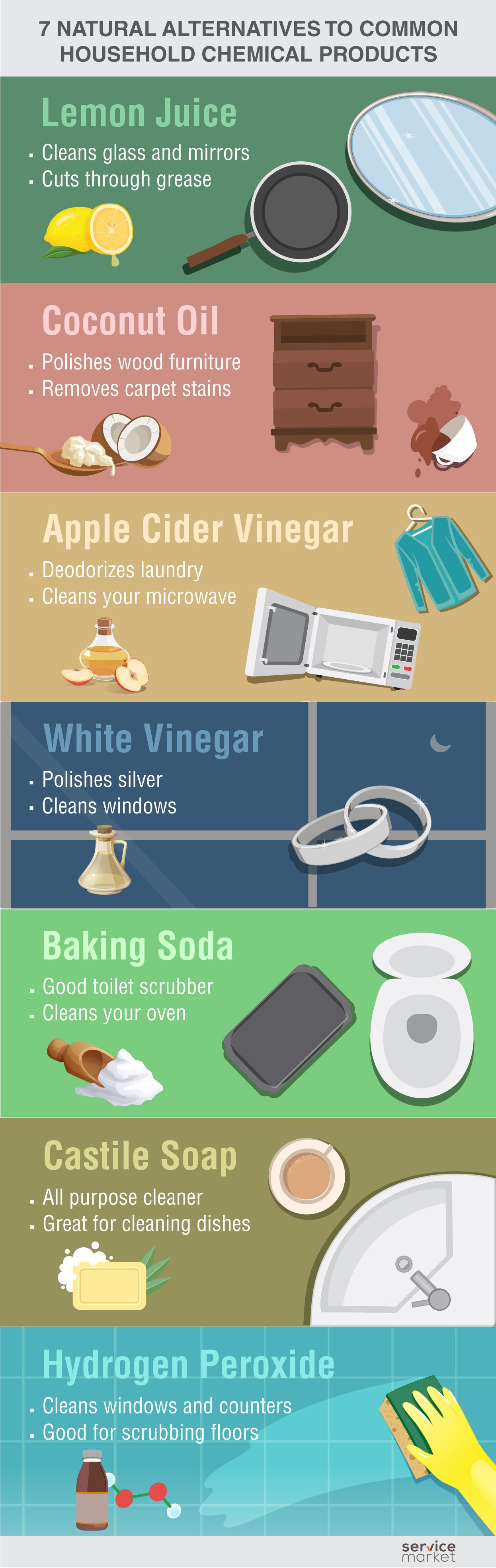Natural Alternatives to Household Chemical Products - Infographic 