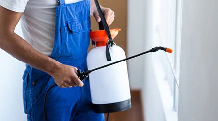 Pest Control Session in Dubai