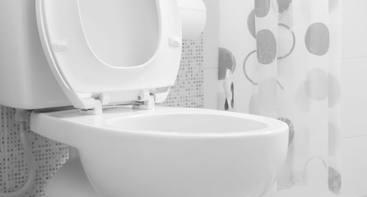 Blocked Toilet? Here’s What You Can Do Before Calling a Plumber