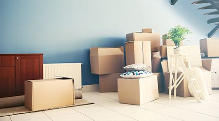 Movers and Packers in Sharjah