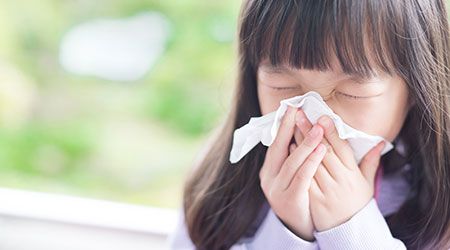Dust Mite Allergies in Dubai