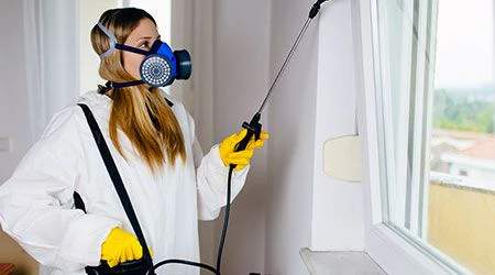 Pest Control Service in Abu Dhabi