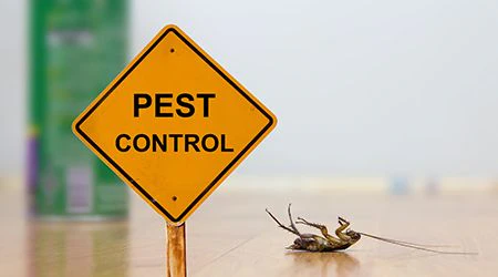 Pest control in Sharjah