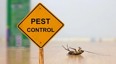 pest control services in Abu Dhabi