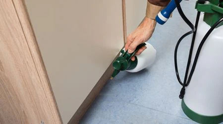 Pest control service in Doha