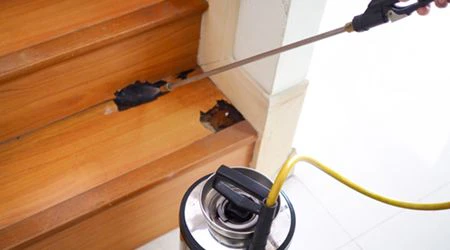 Pest control services in Jeddah