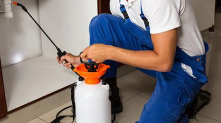 Pest Control Service in Jeddah