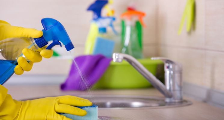 Everything You Need to Know About House Cleaning Services