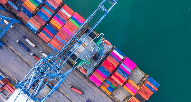 What Are the Different Types of International Moving Services and What’s the Difference?