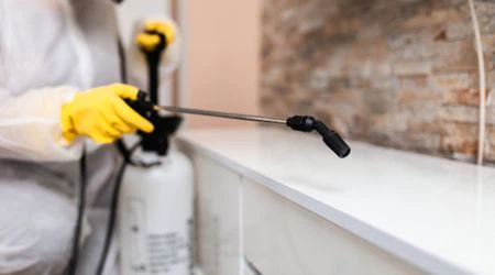 cockroach pest control in Dubai