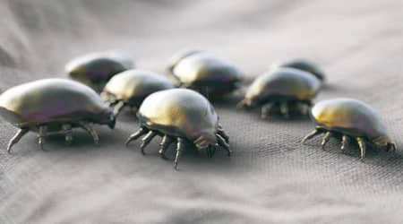 bugs mattress cleaning dubai