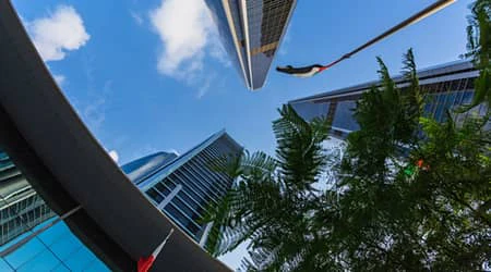 Checklist for local move Abu