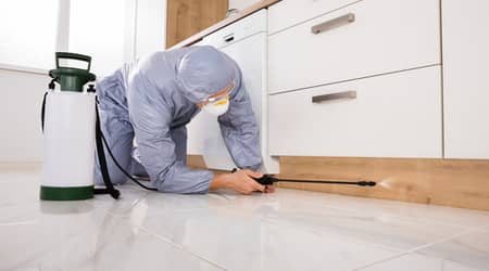 pest control fumes in Sharjah
