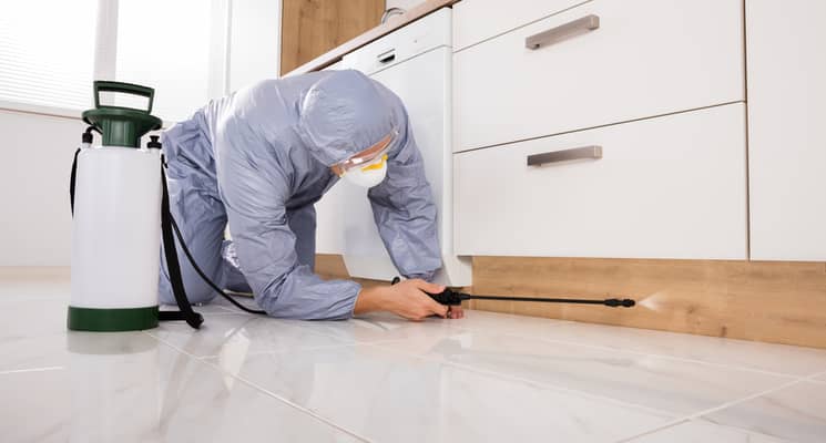 Are Pest Control Fumes Dangerous?