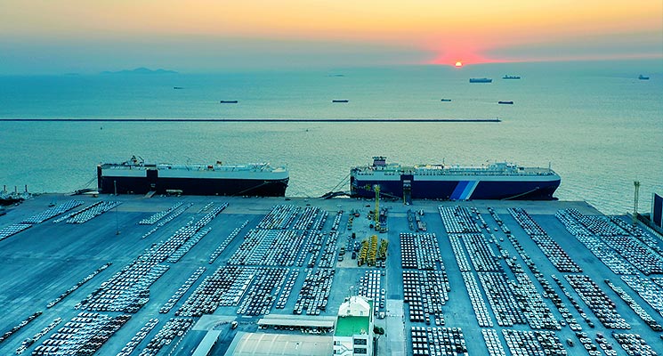 How Much Does It Cost to Ship My Car from the UAE to…