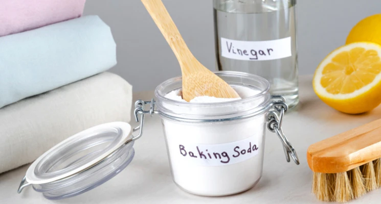 Green Home Cleaning Solutions