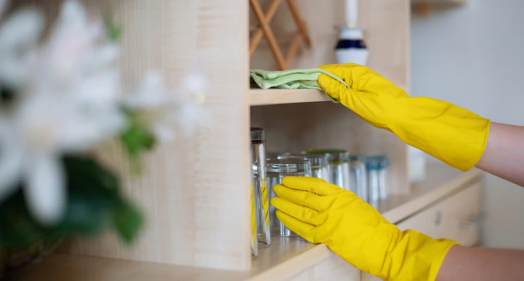 Professional Home Cleaning