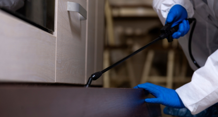 Seasonal Pest Control in Dubai: Tackling Pests During Different Times of the Year