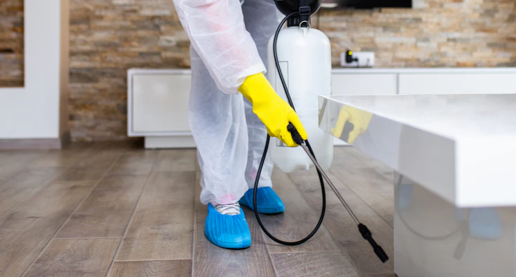 Pest control services in Dubai