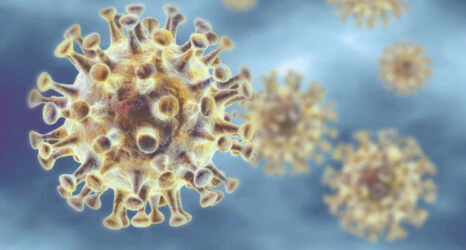 All You Need to Know About MERS Virus in Dubai - ServiceMarket Blog