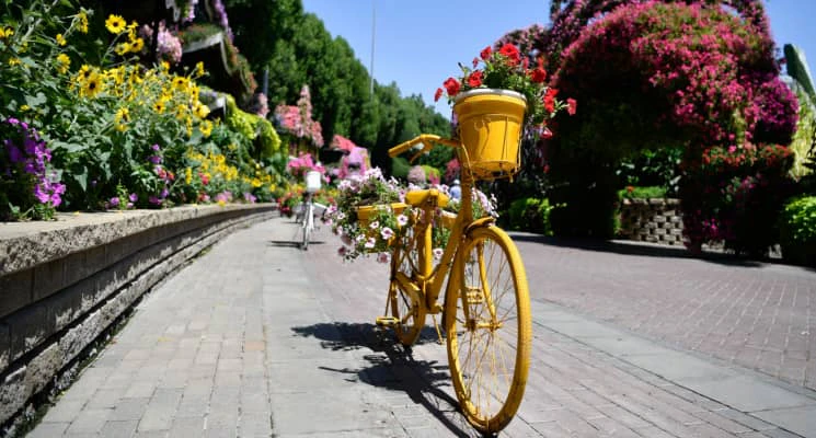 gardening-companies-dubai