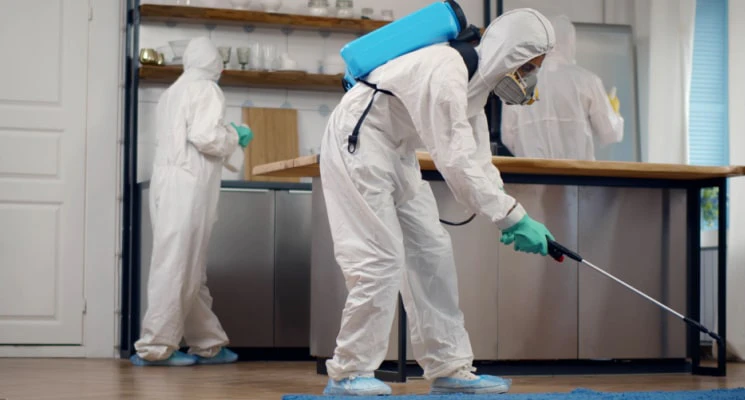 pest control chemicals in Dubai