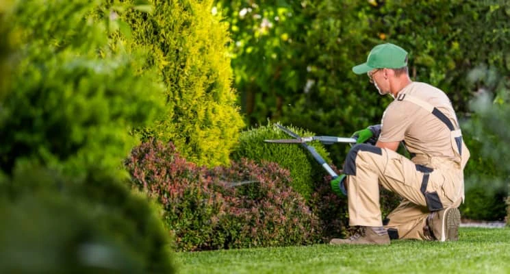 gardener in Dubai