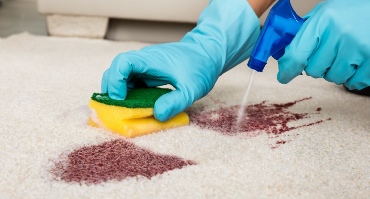 Scrubbing and Cleaning Carpet for home cleaning service