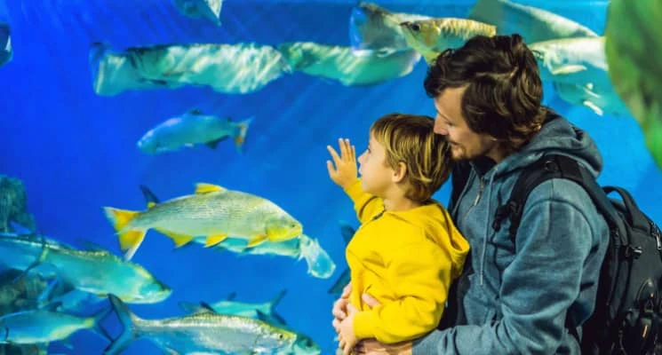 kids go free summer dubai