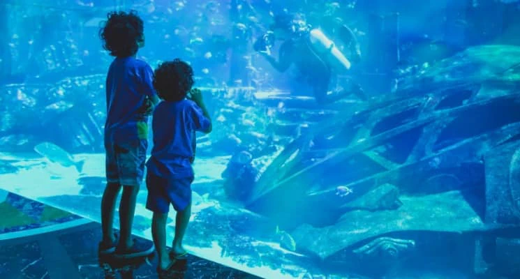 Places to Visit for Kids in the Eid Holidays in Dubai