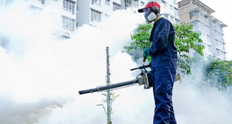 Cost of Mosquito Pest Control in Dubai