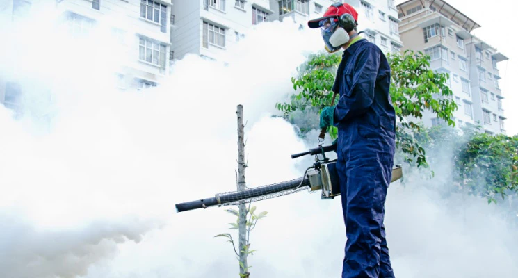 Cost of Mosquito Pest Control in Dubai