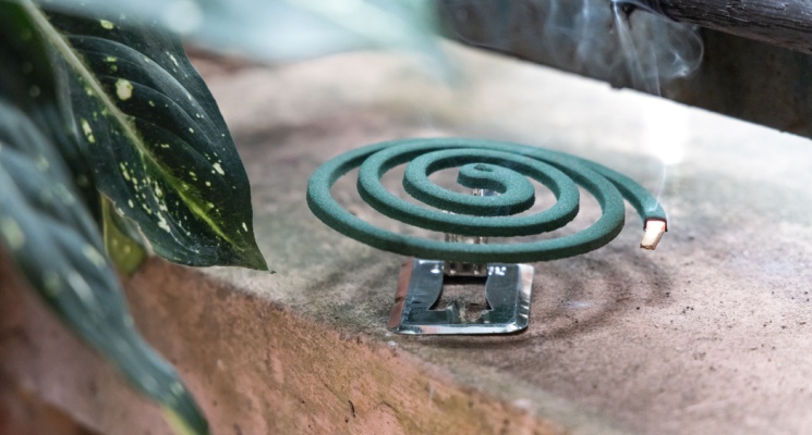 DIY Mosquito Control Tips for Dubai Homes and Gardens