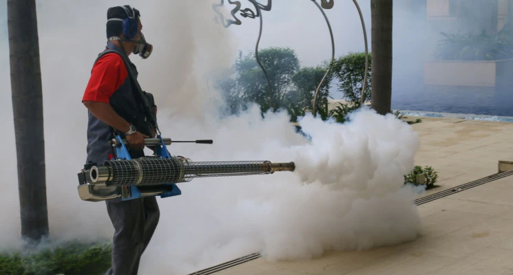 Prevent from Mosquitoes in Dubai Summer Months